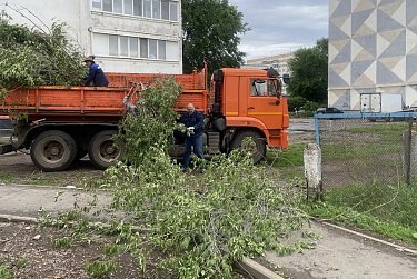 В детских садах ликвидированы аварийные деревья